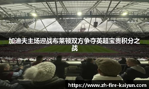 加迪夫主场迎战布莱顿双方争夺英超宝贵积分之战